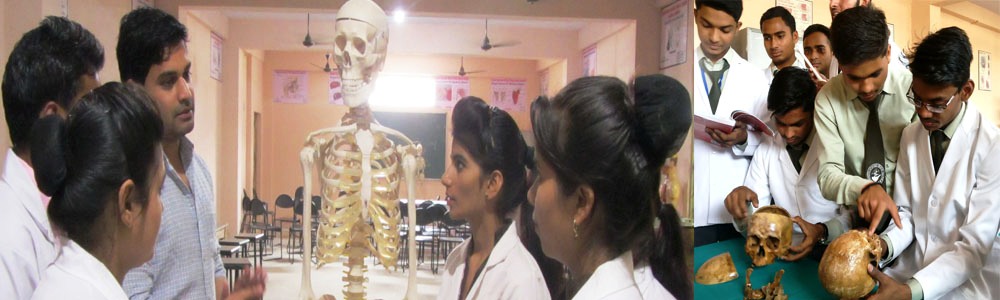 Overview of Sanjeevani Ayurvedic Medical College